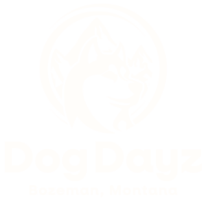 dog-dayz-logo-cream
