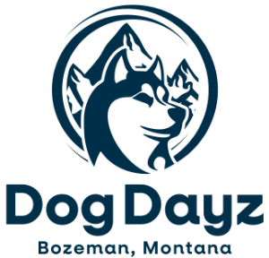 dog-dayz-logo-navy